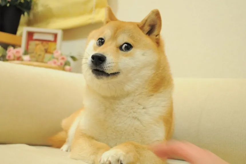 Fotografía de Dogecoin